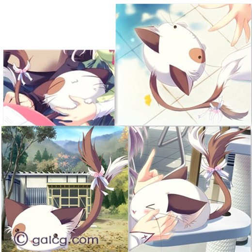 纯白交响曲
