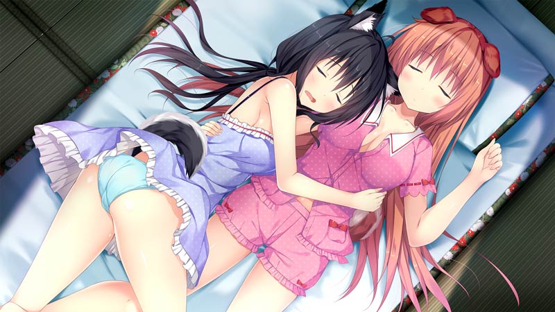 わんこの嫁入り ～ようこそ！いぬのしっぽへ～