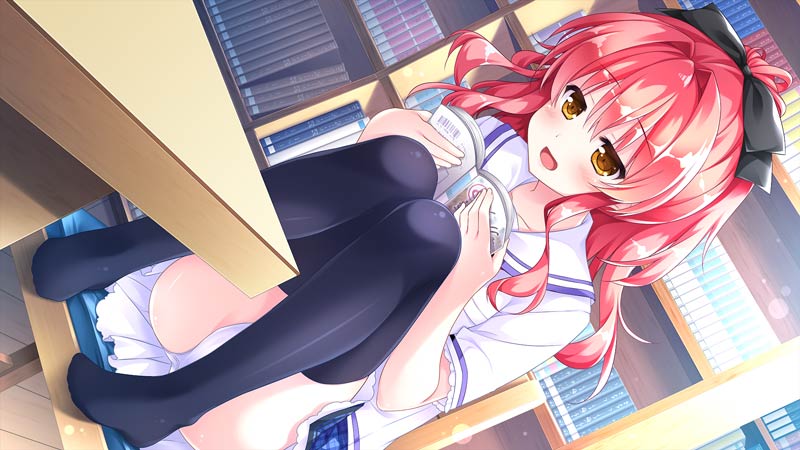 約束の夏、まほろばの夢