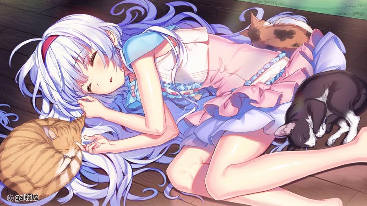 ひとつ屋根の、ツバサの下で