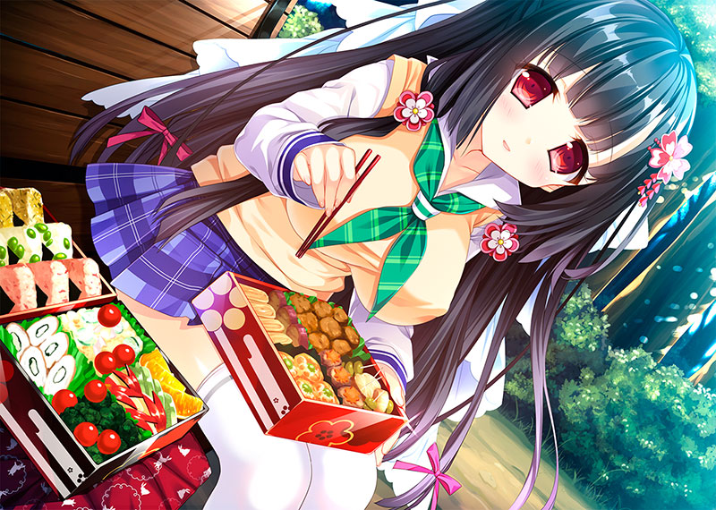 乱れ雪月華 ~月夜のo舞、狂気の契り~