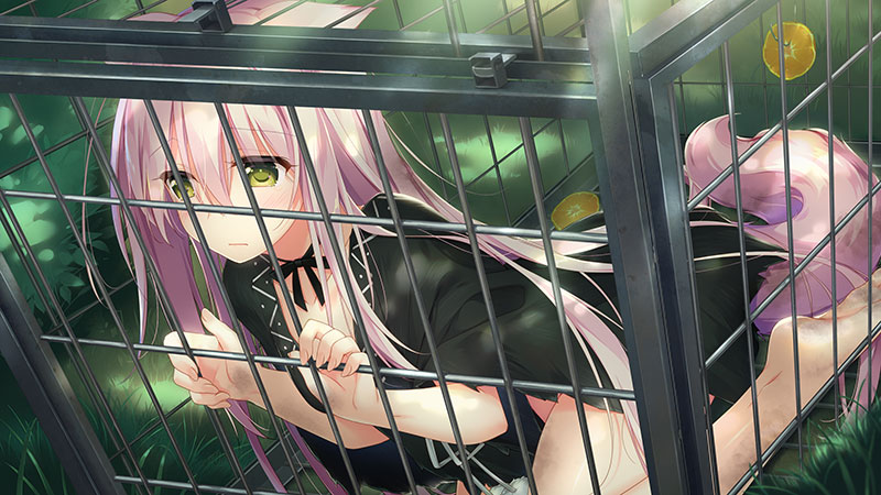 ケモノ娘の育て方