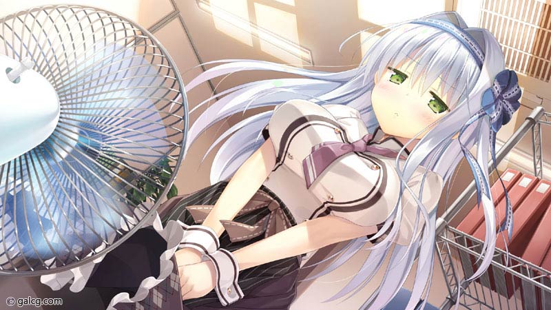 お家に帰るまでがましまろです