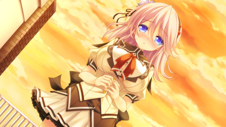 ったい遵守☆にゅ～こづくりわーるど