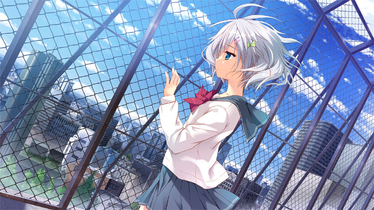 学校のセイイキ