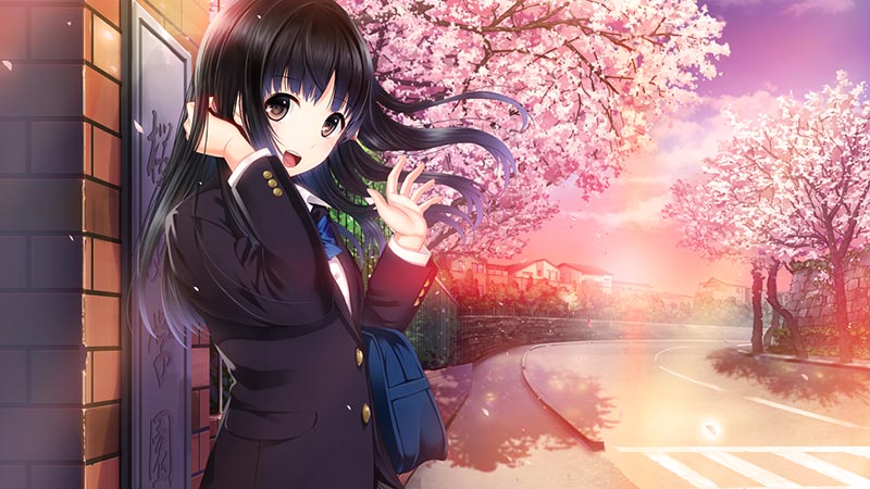 この恋、青春により。