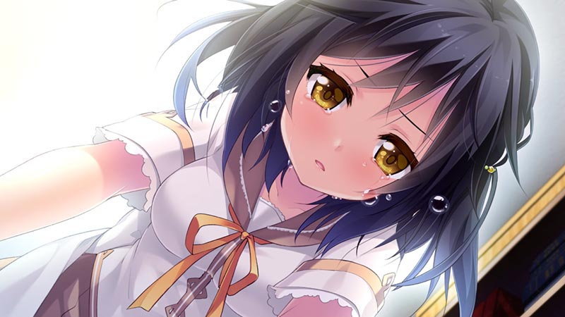 ナツウソ -Ahead of the reminiscence-