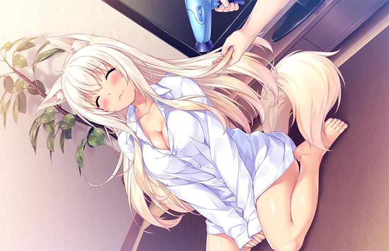 ネコぱら vol.2 姉妹ネコのシュクレ