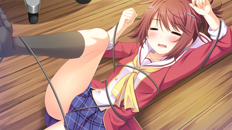 お兄ちゃんティーチャー ～秘密の授業を希望します！～