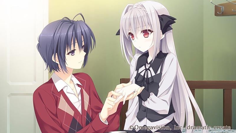 月に寄りそう乙女の作法 ～ひだまりの日々～ アペンド