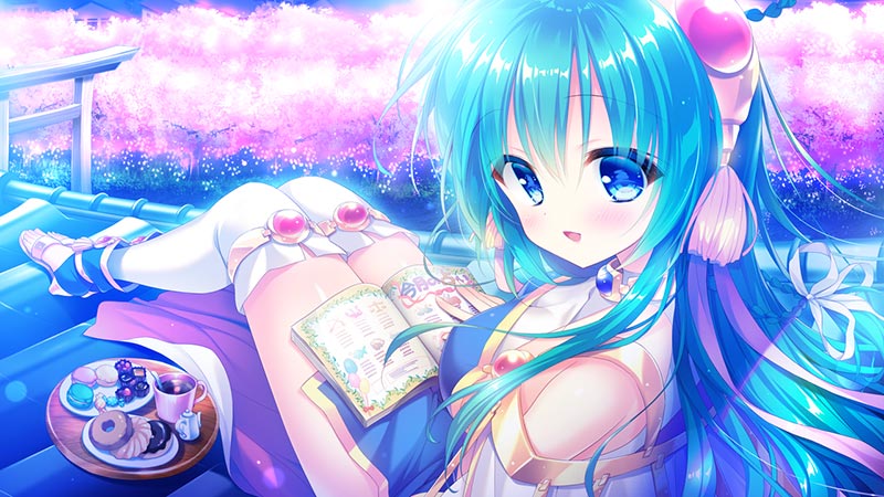 きゃんきゃんバニープルミエール3