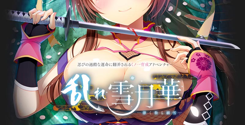 乱れ雪月華 -儚く散る細雪-