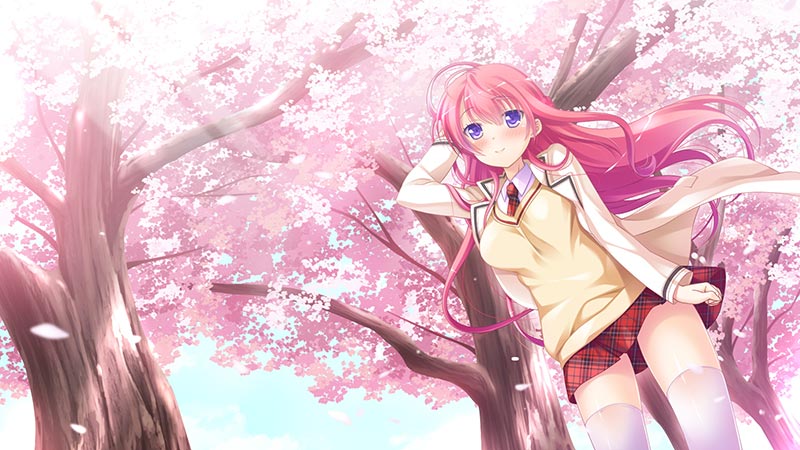 アンラッキーリバース Unlucky Re:Birth/Reverse