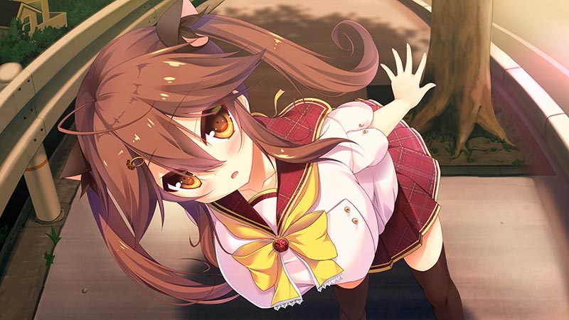 私が好きなら「好き」って言って！