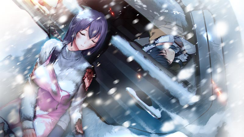 根雪の幻影 -白花荘の人々-