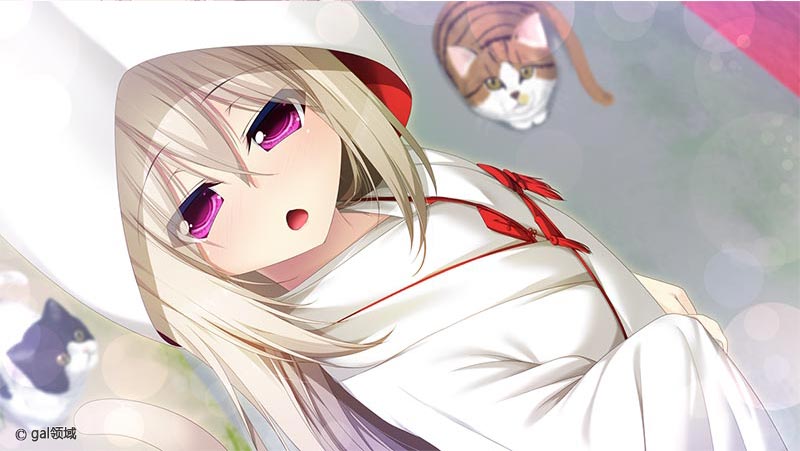 家神女房-イエガミニョウボウ- ～名無し猫又は神Tuber～