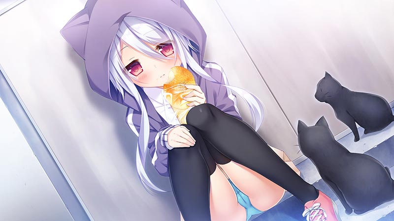 ココロが繋ぐ恋標