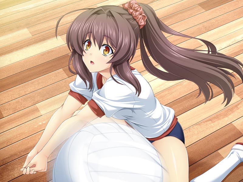 光翼戦姫 -ExS-Tia