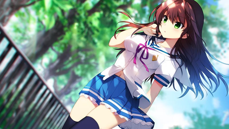 言の葉舞い散る夏の風鈴