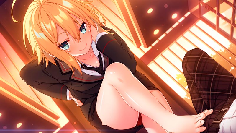 捻くれモノの学園青春物語 ～俺と彼女の裏表～