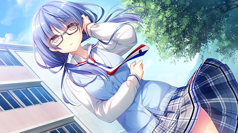 ネコ神さまと、ななつぼし