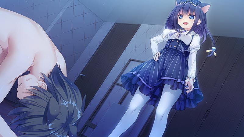 ネコ神さまと、ななつぼし