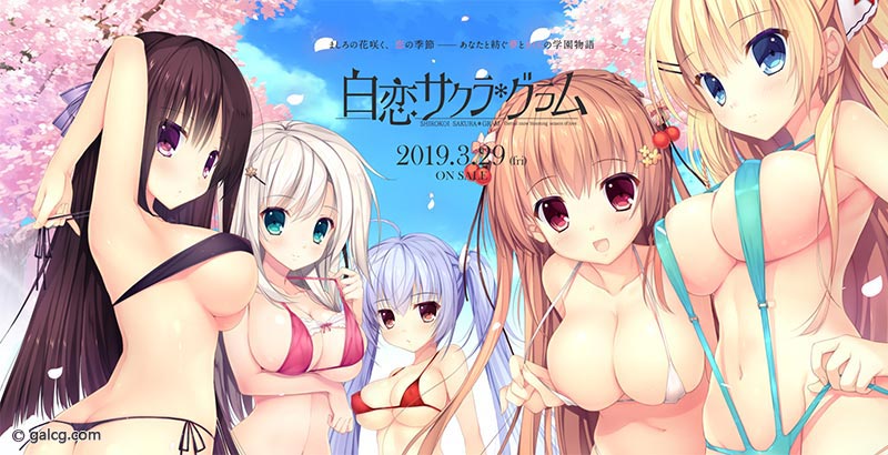 白恋サクラ＊グラム