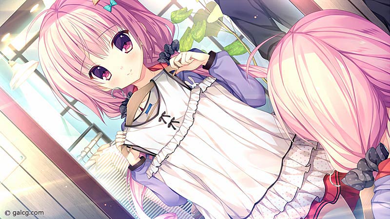 白恋サクラ＊グラム