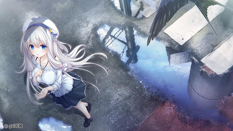 pieces/渡り鳥のソム