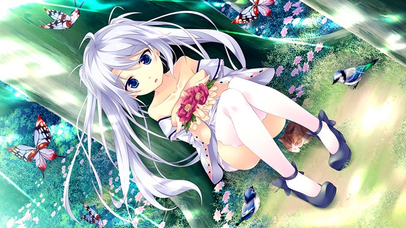 新・白銀のソレイユ -ReANSWER-