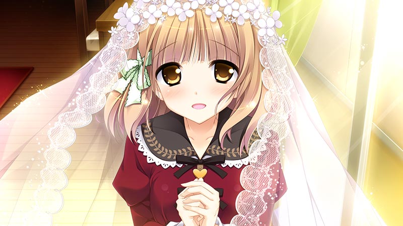 桜舞う乙女のロンド ～あなたと見る冬桜～