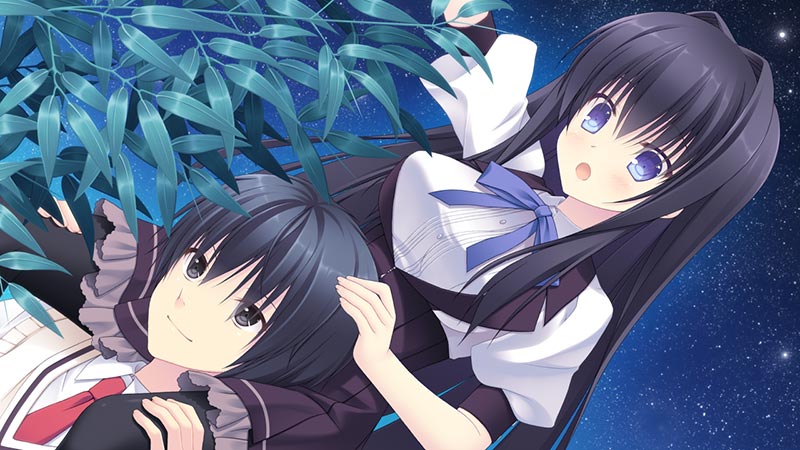 空飛ぶ羊と真夏の花