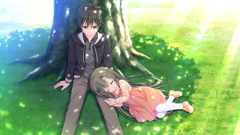 晴のちきっと菜の花びより