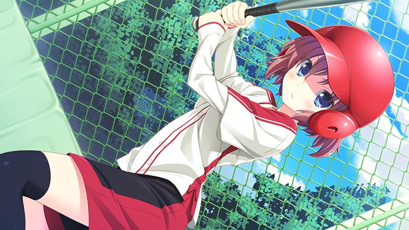 晴のちきっと菜の花びより