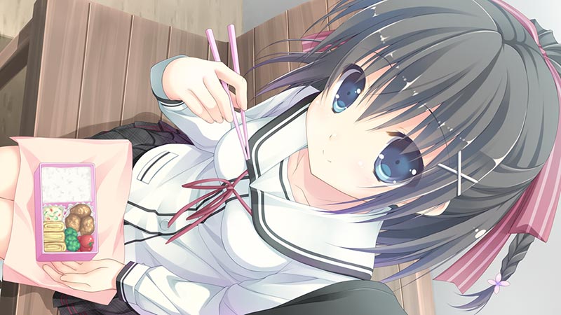 晴のちきっと菜の花びより