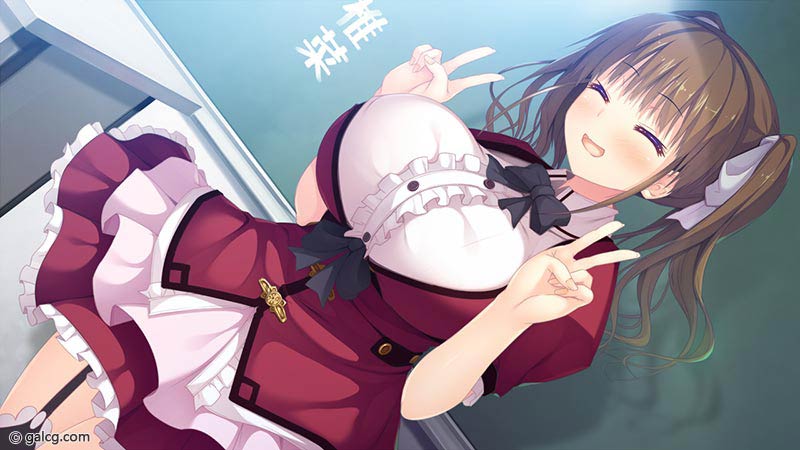 彼女（ヒロイン）は友達ですか？恋人ですか？それともトメフレですか？