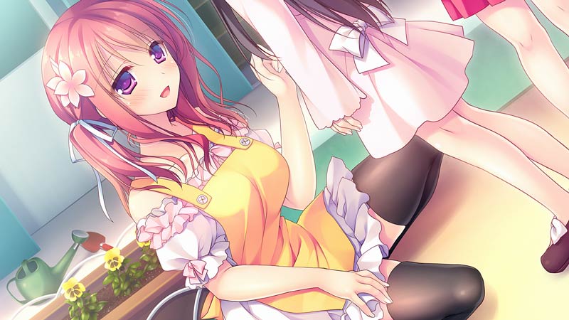 キミのとなりで恋してる！