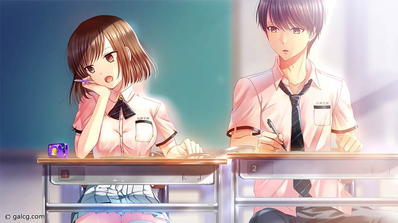 ヒマワリと恋の記憶