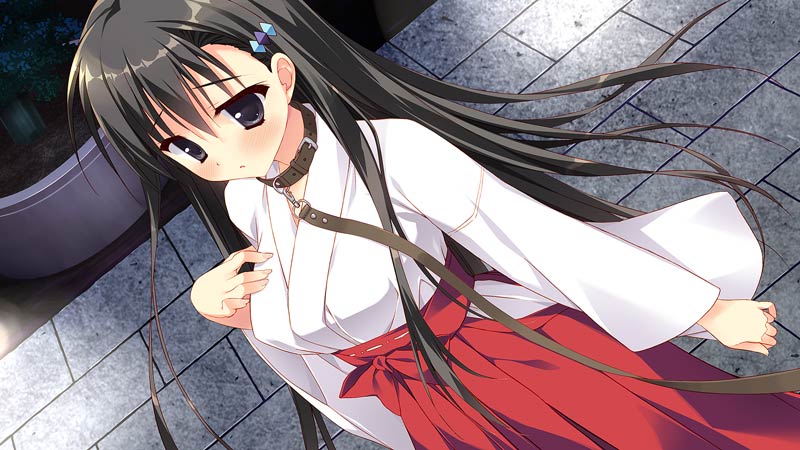 彼女のセイイキ