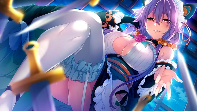 真・恋姫†夢想-革命- 劉旗の大望