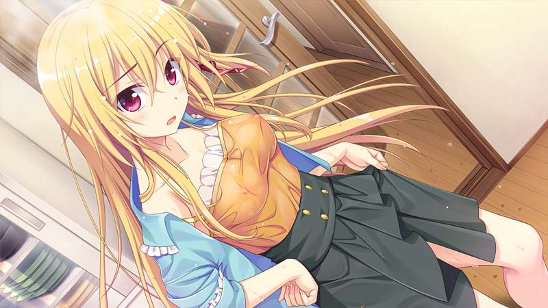 恋愛、借りちゃいました