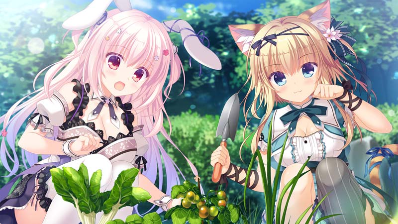 猫忍えくすはーと 3