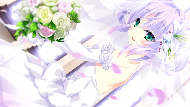 宿星のガールフレンド 3 -the destiny star of girlfriend-