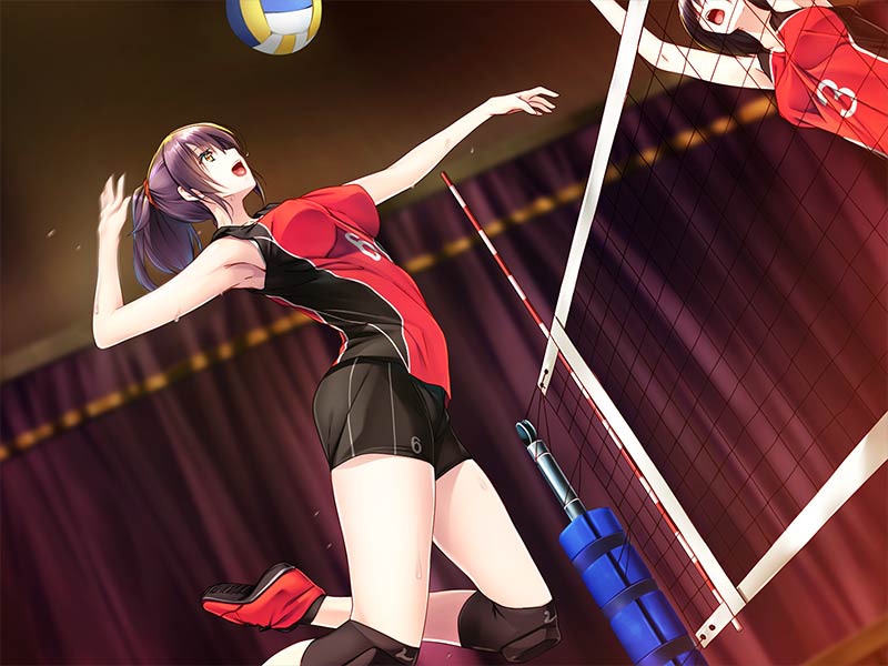 身長差恋愛のススメ 大好きなあなたとの身長差は30cm↑