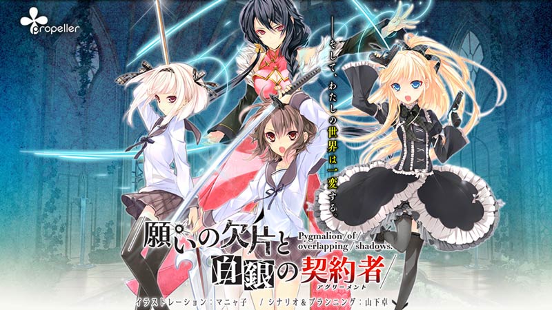 願いの欠片と白銀の契約者