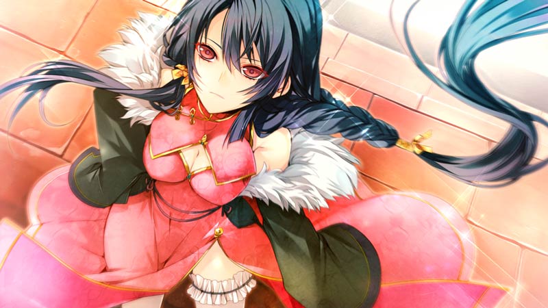 願いの欠片と白銀の契約者