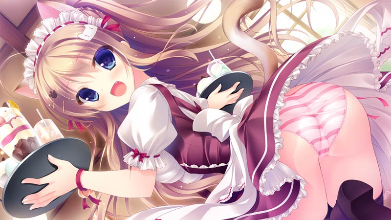 にゃんカフェマキアート ～猫がいるカフェのえっち事情～