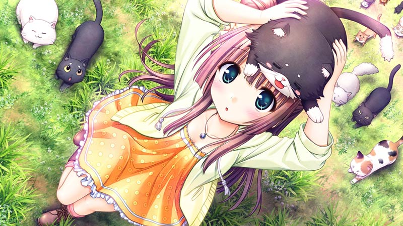 大図書館の羊飼い ～放課後しっぽデイズ～