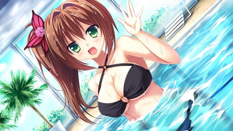 いもーと特区 〜妹と結婚できるいい時代になりました〜