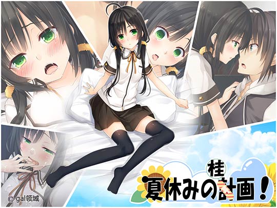 夏休みの桂画